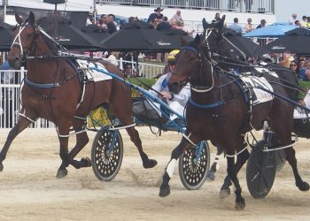 Fwd: Addington- Preview with pics