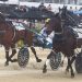 Artisan wins the Waikato Pacing Breeders Stakes 6 Fwd: Addington- Preview with pics