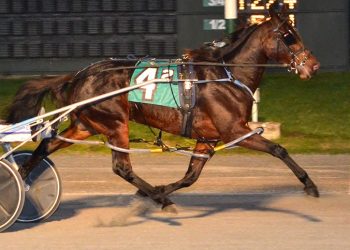 Fillies sweep DSBF Series eliminations