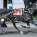 Doyle stable pack a One-Two punch in feature
