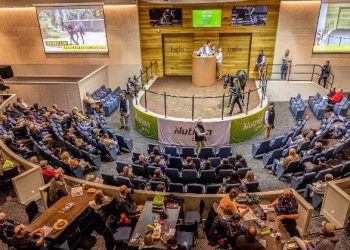 Nutrien Yearling Sale catalogues go live