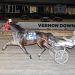 Ongoing Royalty soars to Vernon upset
