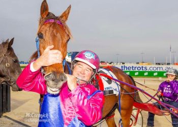 Bullet aimed at high calibre features