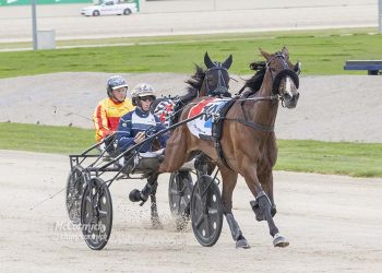 Emma Stewart grabs G1 trotting feature