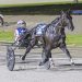 One to Watch in Breeders Crown semis