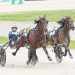 Storm brews for Breeders Crown rematch