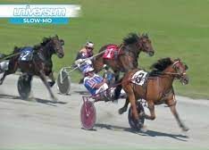 Another dominating performance for Tobins Brownie?