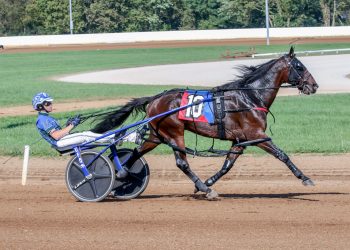 Allywag Hanover back for more in $125,000 Potomac
