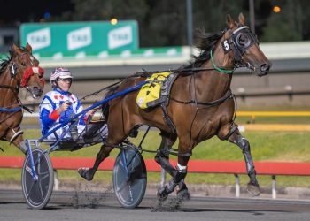 Group winner by A Rocknroll Dance