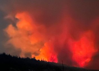 Fire causes havoc for harness racing trainers