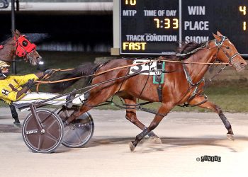 Filly handles class hike against Open Mares