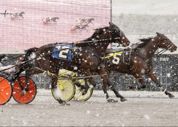 Codys Watching fights back for icy victory