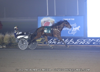 Pacing fillies finish off Harvest Series