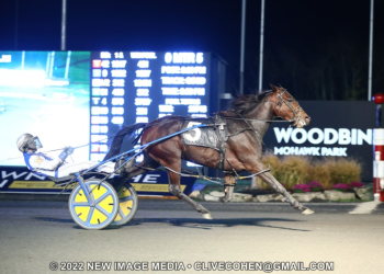 Im On The Edge charges to Harvest Series win