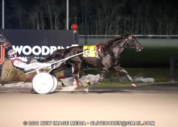 Logan Park back to business