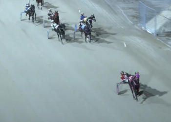 Millennium Seelster breaks year-long drought