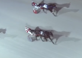 Strong debut win for small barn