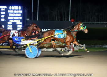Girl Scout Cookie captures Harvest Series