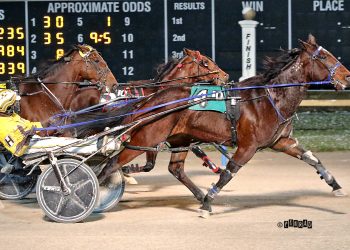 Let It Ride N handles cold and snow; Smith wins five