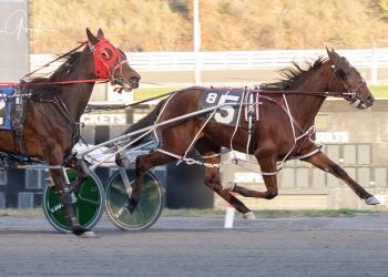 Co-feature pacing events at The Meadows