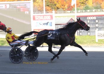 Trotter takes it to another level on Halloween