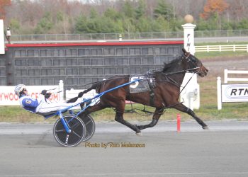 No Win No Feed A back to Plainridge for seconds