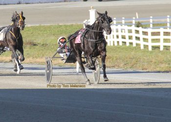 Angel Nation had wings Thursday