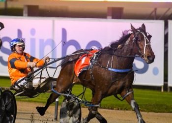 NSW visitor has eye on ID22