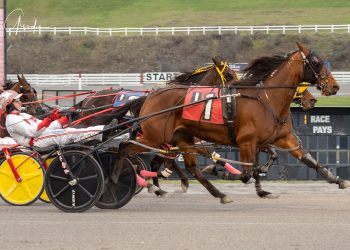 Warren slams with longshot in Open