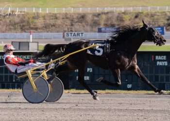 Tequila Talkin continues winning ways, Wrenn takes six