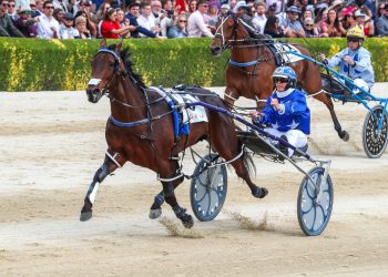 NZB Standardbred graduate scorches to Group One win