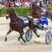 NZB Standardbred graduate scorches to Group One win