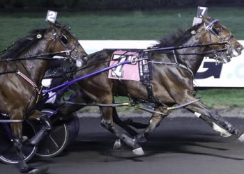 Bellisima Hanover bolts to $238,810 Kindergarten Final victory