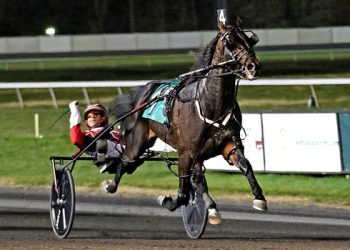 Bulldog blows ’em away in $345,000 TVG Finale