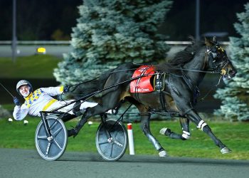 King Of The North brings twice the price