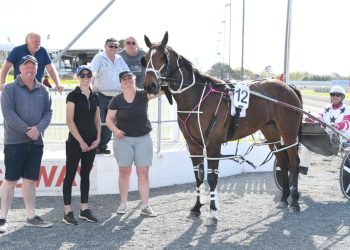 Teaz trio loom large in this week’s North Island meetings