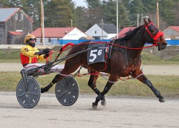 Twin B Impressive winning streak goes on