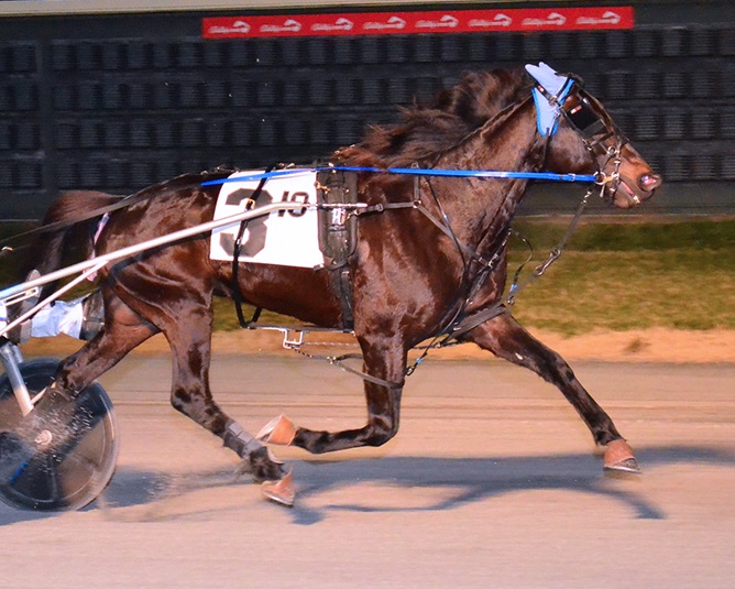 Navy Blue takes $100,000 DSBF trot championship - Harnesslink