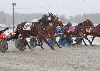 Polar Express Final won in an upset