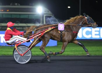 Strong French trotters compete at Vincennes
