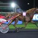 Strong French trotters compete at Vincennes