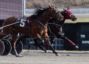 Dead heat win finish in Open Pace