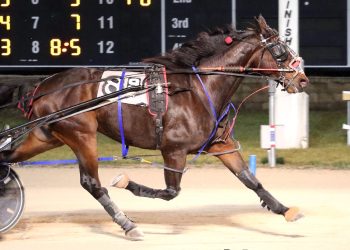 Winning Ticket cashes in at Dayton