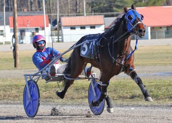 Polar Express elims to Timbo Slice, Cash Crazy Express