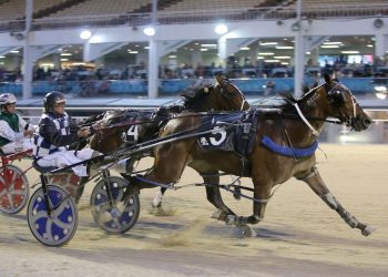 Allamericanlover adds name to elite list of mares in Queen of Hearts