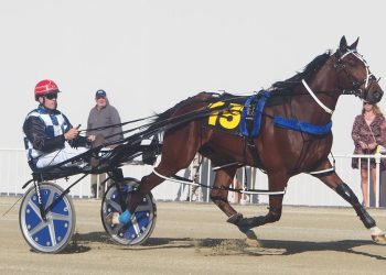 Grand Prix – Preview 3 – Steve Telfer with pics