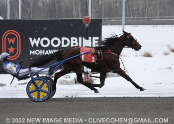 Baby Bonita upsets in Niagara Series final