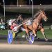 USHWA unveils trotting Dan Patch Award winners