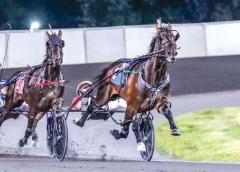 Eight harness greats enter Canadian Horse Racing Hall of Fame