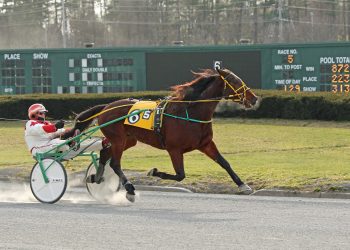 Scattolini is festive AHDC winner